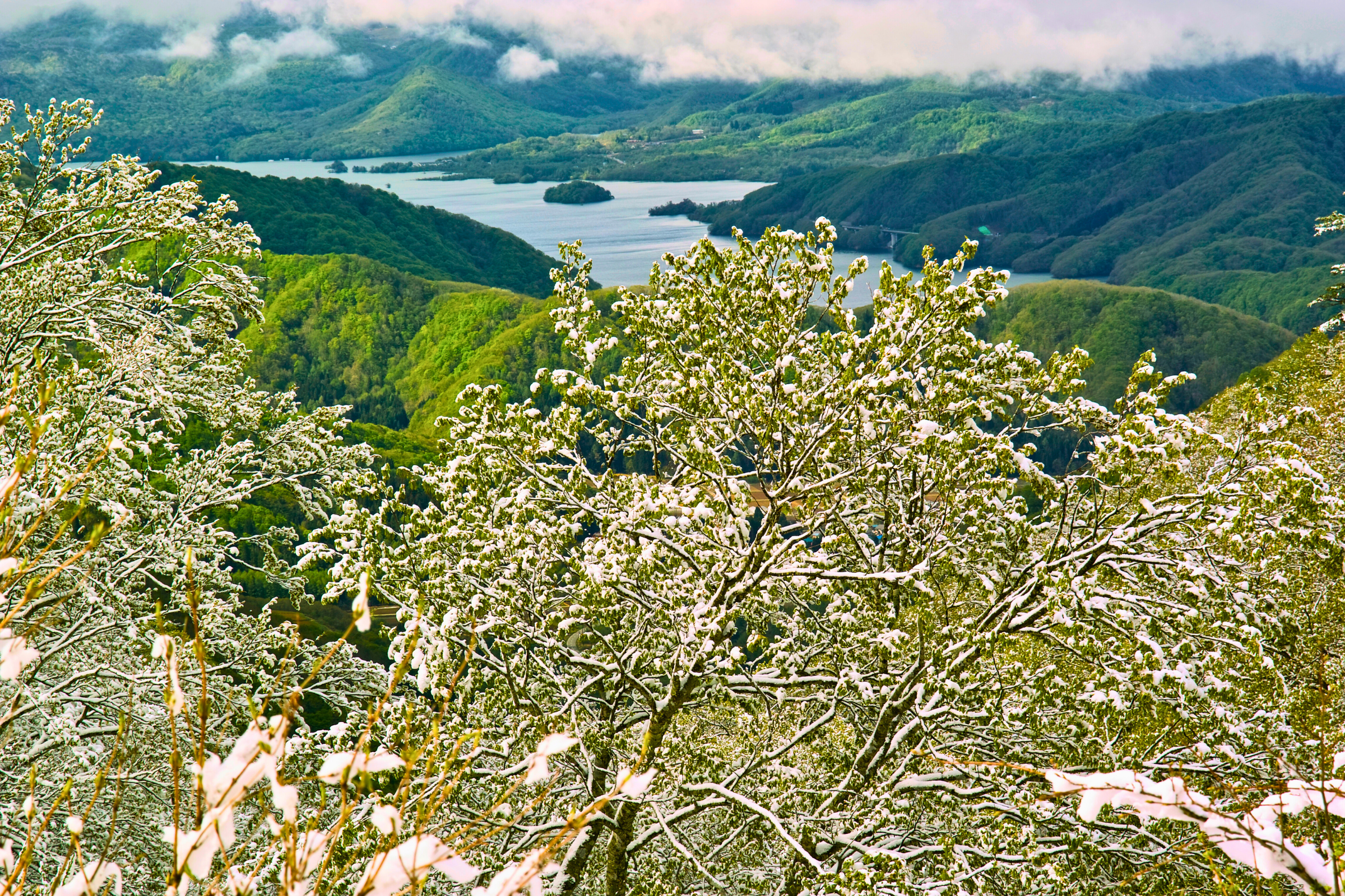 lake hibara (4).webp